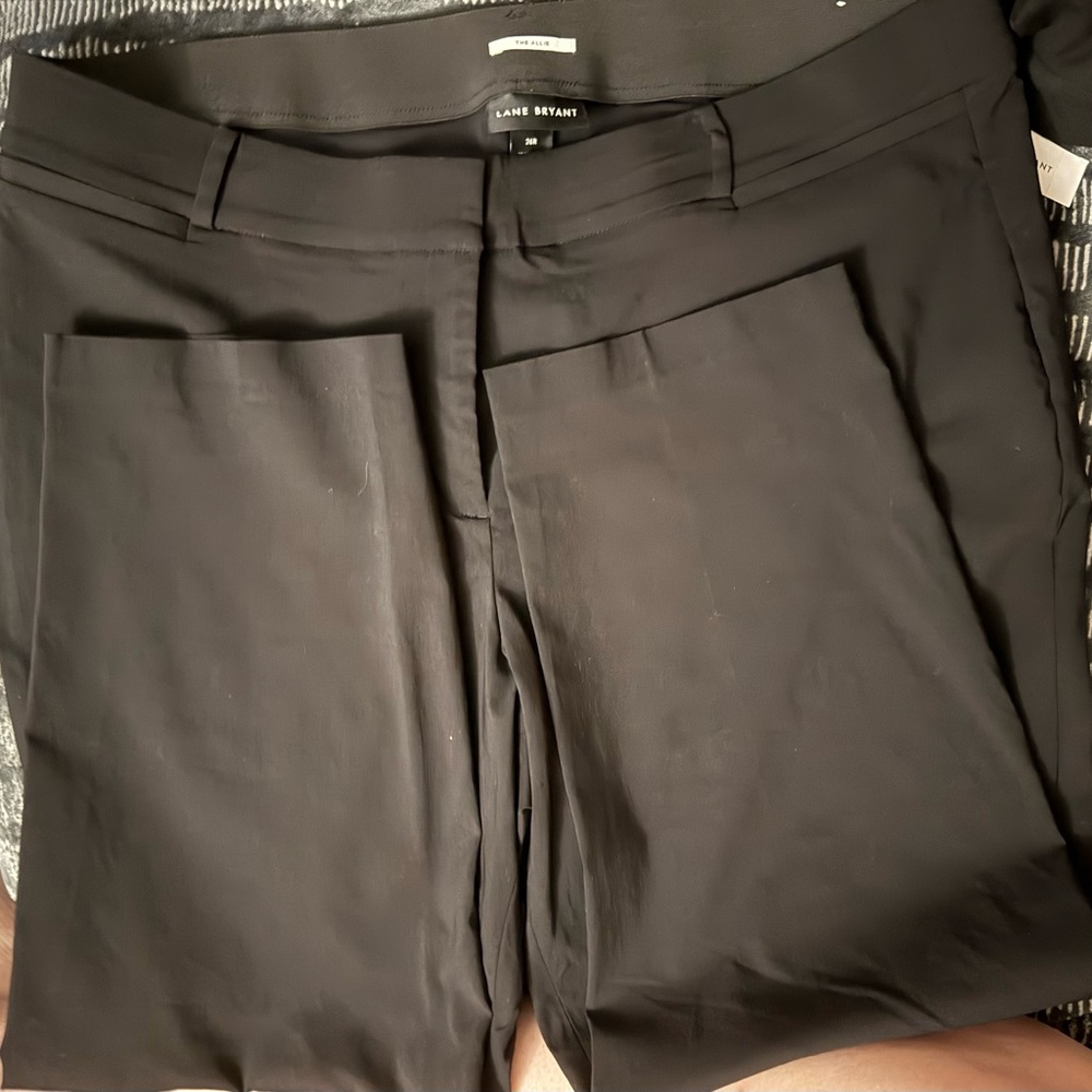 Lane Bryant Black Women's Trousers